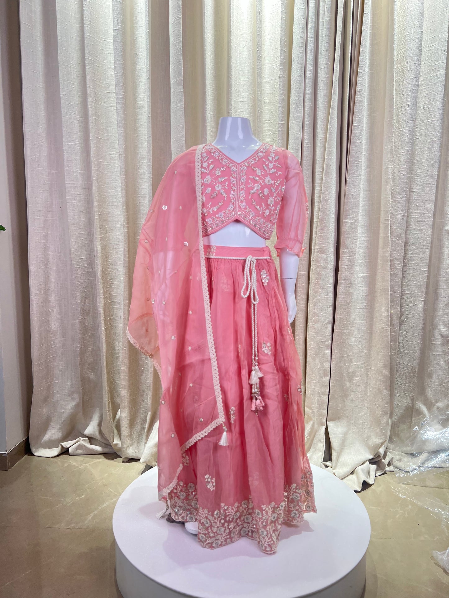 Peach Embroidered Lehenga Set with Organza Dupatta