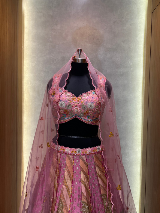 Pink Hues paint Lehnga Choli