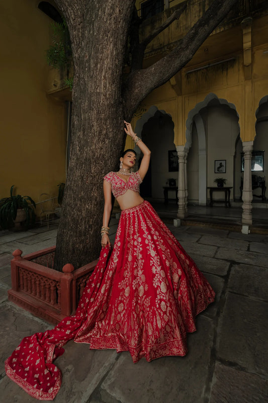 Rani Red Silk Lehenga Set with Silver Zari Embroidery
