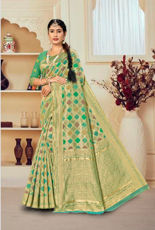 Light Green and Contrast Bordered Banarasi Saree