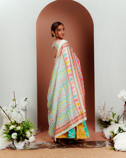 Colorful Festivities: Stunning Multicolor Chaniya Choli