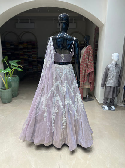 Baby Pink Embroidered Lehnga Choli