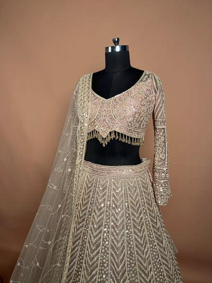 Beige Designer Lehenga with Heavy Sequin & Tassel Embroidery