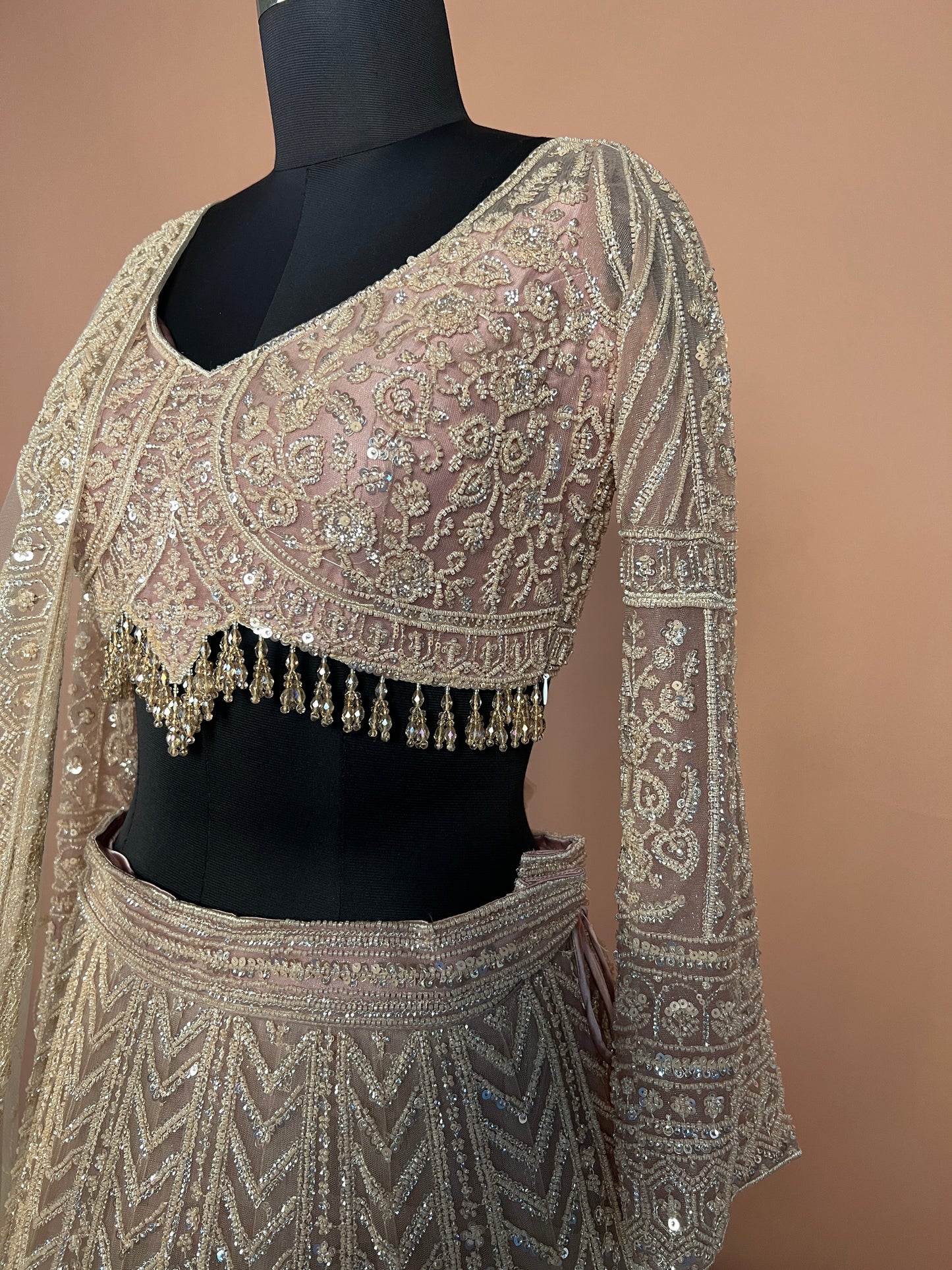 Beige Designer Lehenga with Heavy Sequin & Tassel Embroidery