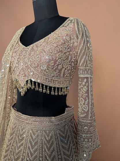 Beige Designer Lehenga with Heavy Sequin & Tassel Embroidery
