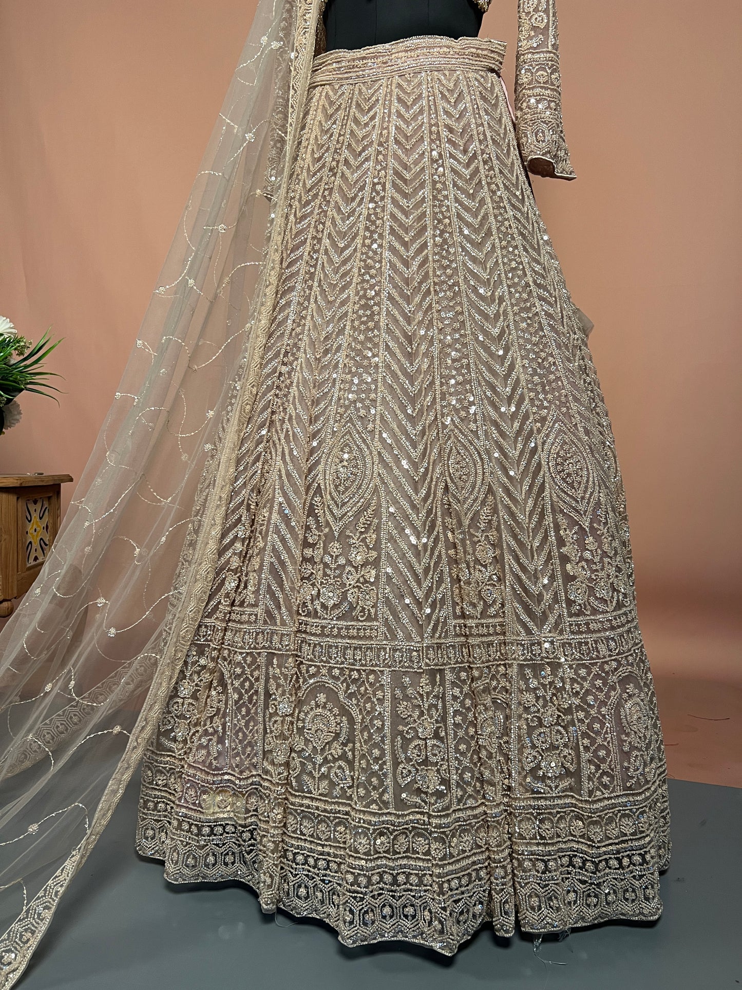 Beige Designer Lehenga with Heavy Sequin & Tassel Embroidery