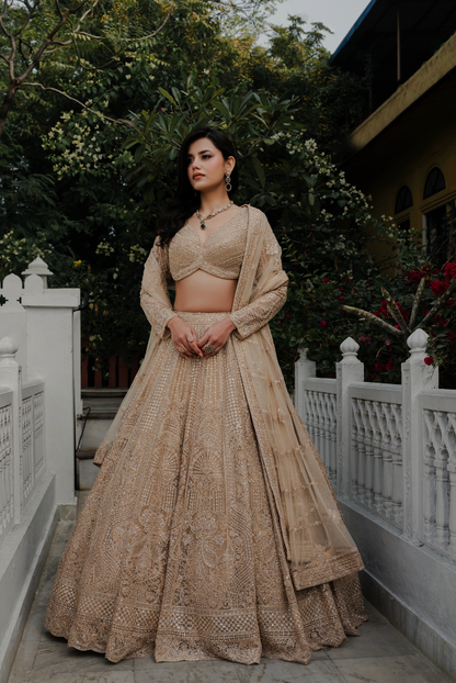 Beige Net Lehenga Choli with Stone and Pearl Embroidery