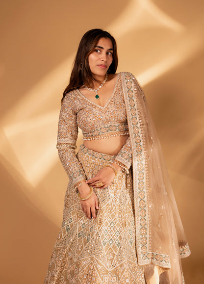Champagne Gold Geometric Embroidered Mirror-Work Lehenga Choli