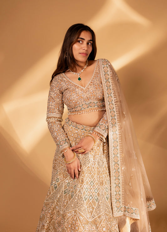 Champagne Gold Geometric Embroidered Mirror-Work Lehenga Choli