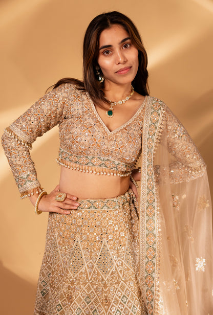 Champagne Gold Geometric Embroidered Mirror-Work Lehenga Choli