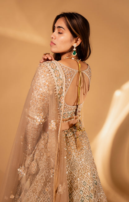 Champagne Gold Geometric Embroidered Mirror-Work Lehenga Choli