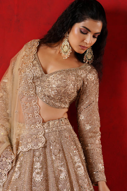 Champagne Net Lehenga