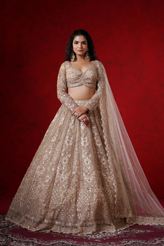 Champagne Net Lehenga