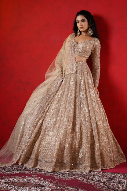 Champagne Net Lehenga