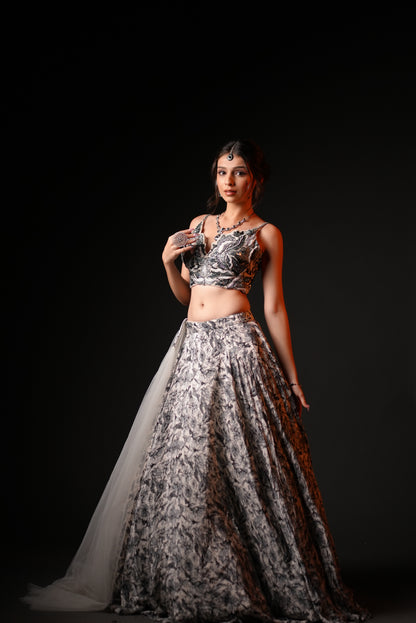 Grey Fowler Printed With Embroidered top Lehnga Choli
