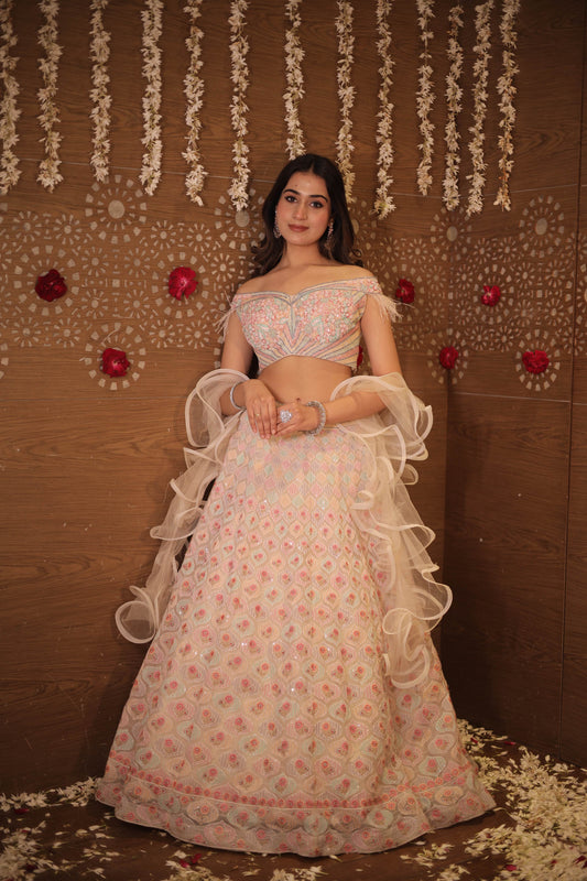 Dreamy pastel elhenga choli set