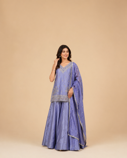 Lavender Blue Embroidered Silk Lehenga Blouse with Zari & Beadwork Detailing