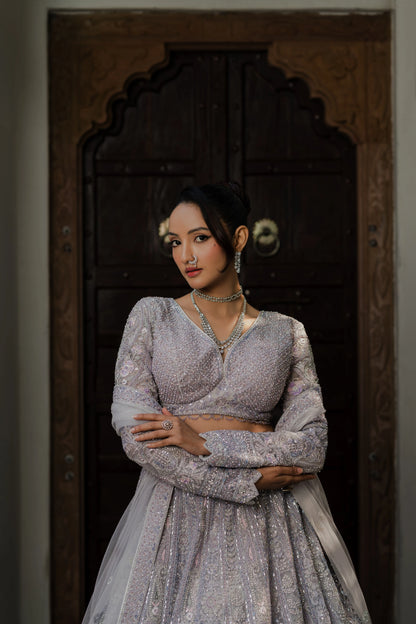 Lavender Net Embellished Lehenga
