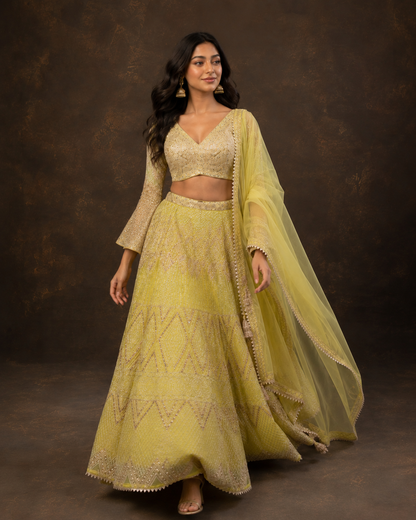 Lime Yellow Sequins & Thread Embroidered Designer Lehenga Choli