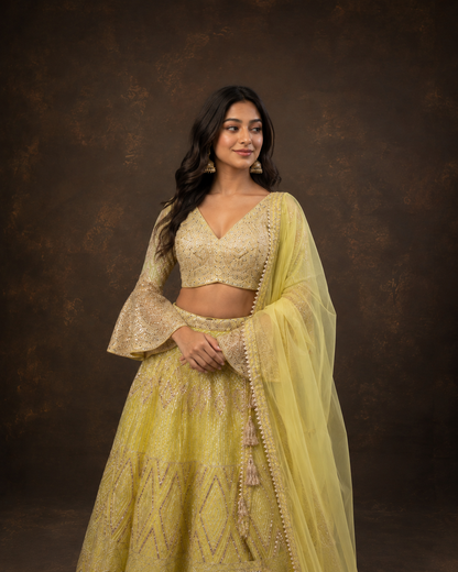 Lime Yellow Sequins & Thread Embroidered Designer Lehenga Choli