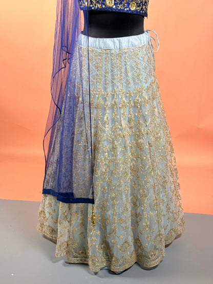 Navy Blue & Gold Embroidered Lehenga Set with Net Dupatta