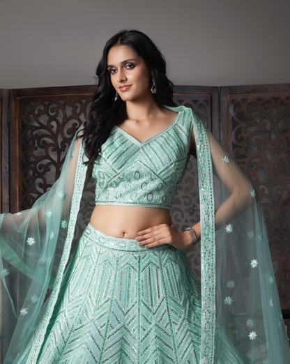 Sky Blue Soft Net Embroidered Lehenga Choli