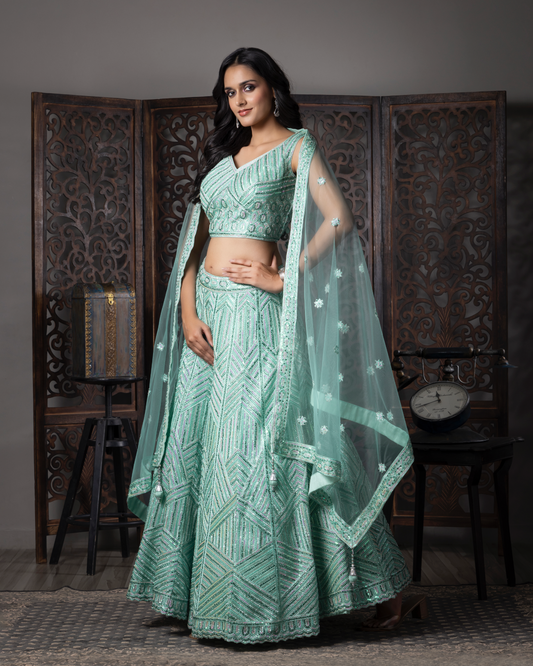 Sky Blue Soft Net Embroidered Lehenga Choli