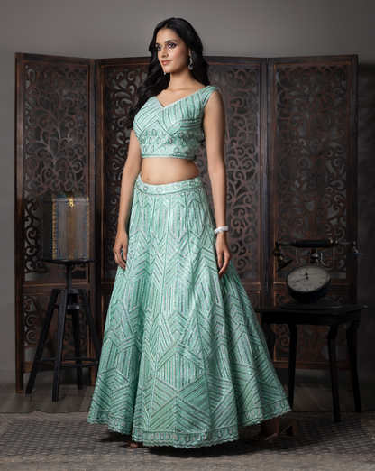 Sky Blue Soft Net Embroidered Lehenga Choli