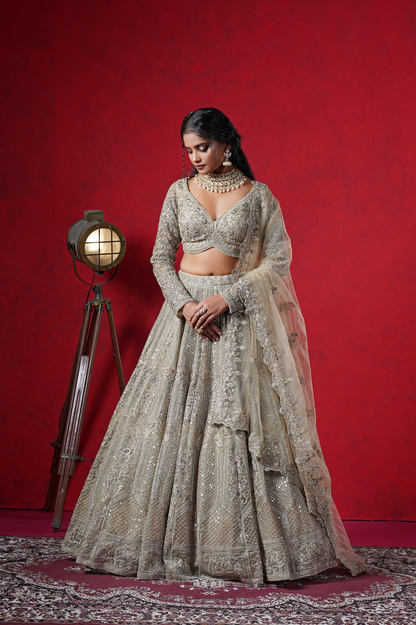 Off White Net Designer Lehenga Choli