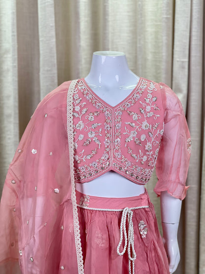 Peach Embroidered Lehenga Set with Organza Dupatta