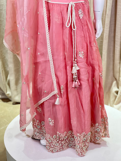 Peach Embroidered Lehenga Set with Organza Dupatta