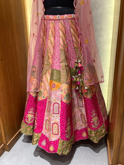 Pink Hues paint Lehnga Choli