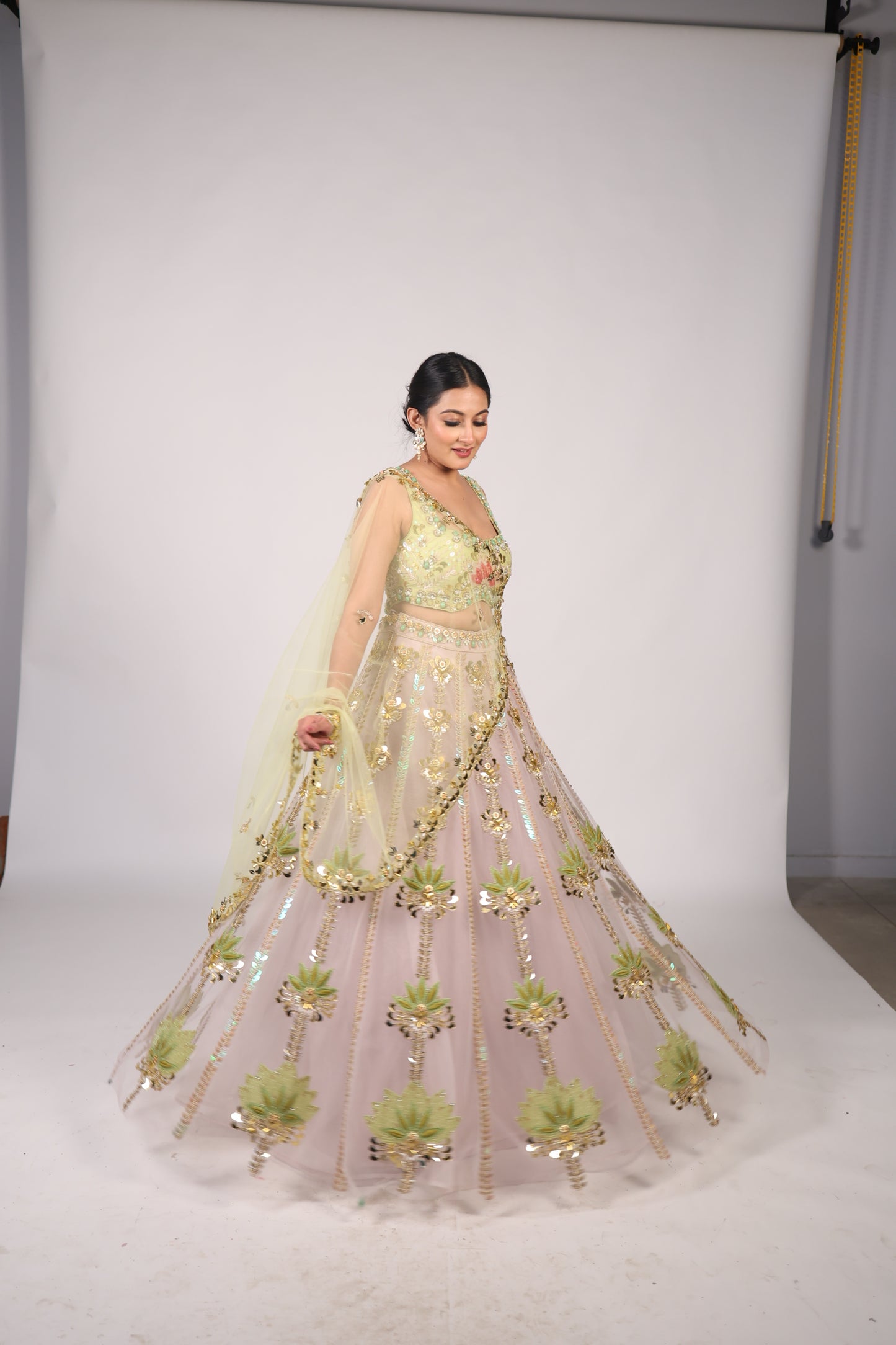 Pistachio Green & Blush Pink Hand-Embroidered Festive Lehenga Choli