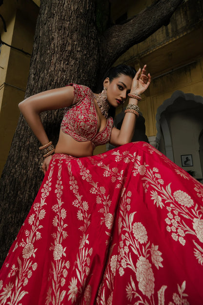 Rani Red Silk Lehenga Set with Silver Zari Embroidery
