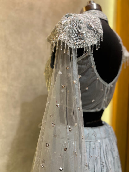 light Blue Sequence work Lehnga Choli