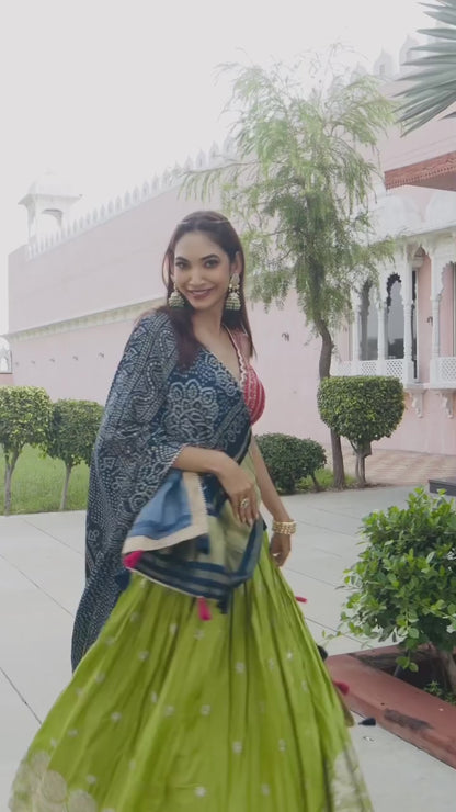 Multicolored Chaniya Choli Set
