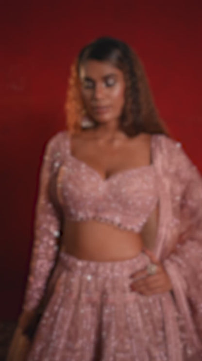 Blush Pink Net Lehenga with Intricate Sequin Embroidery